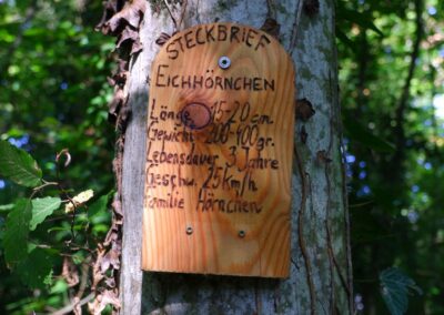 Bewegungsarena Purgstall an der Erlauf - Laufrunde 1 - "Kleine Praterrunde"