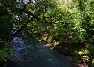 Bewegungsarena Purgstall an der Erlauf - Laufrunde 1 - "Kleine Praterrunde"