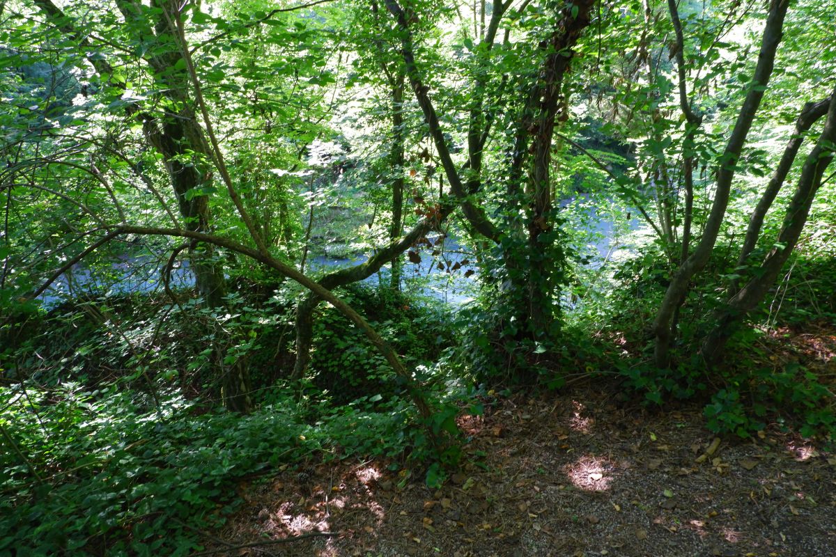 "Tut gut!"-Wanderweg Purgstall an der Erlauf - Route 1 / Laufrunde Praterstegrunde