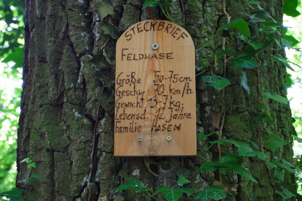 "Tut gut!"-Wanderweg Purgstall an der Erlauf - Route 1 / Laufrunde Praterstegrunde
