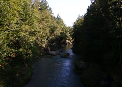 "Tut gut!"-Wanderweg Purgstall an der Erlauf - Route 1 / Laufrunde Praterstegrunde