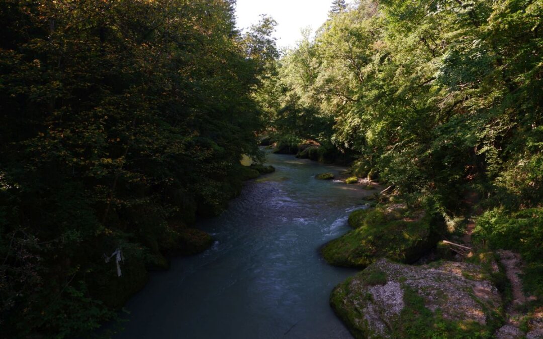 “Tut gut!”-Wanderweg Purgstall an der Erlauf – Route 1 / Laufrunde 2 – “Praterstegrunde”