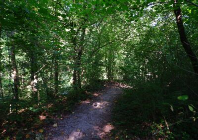"Tut gut!"-Wanderweg Purgstall an der Erlauf - Route 1 / Laufrunde Praterstegrunde