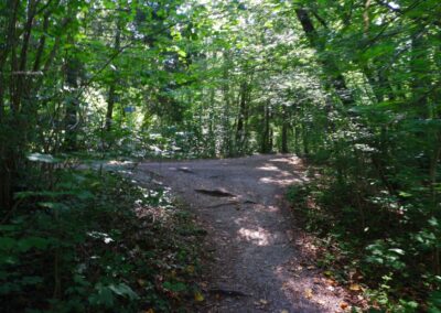 "Tut gut!"-Wanderweg Purgstall an der Erlauf - Route 1 / Laufrunde Praterstegrunde