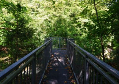 "Tut gut!"-Wanderweg Purgstall an der Erlauf - Route 1 / Laufrunde Praterstegrunde