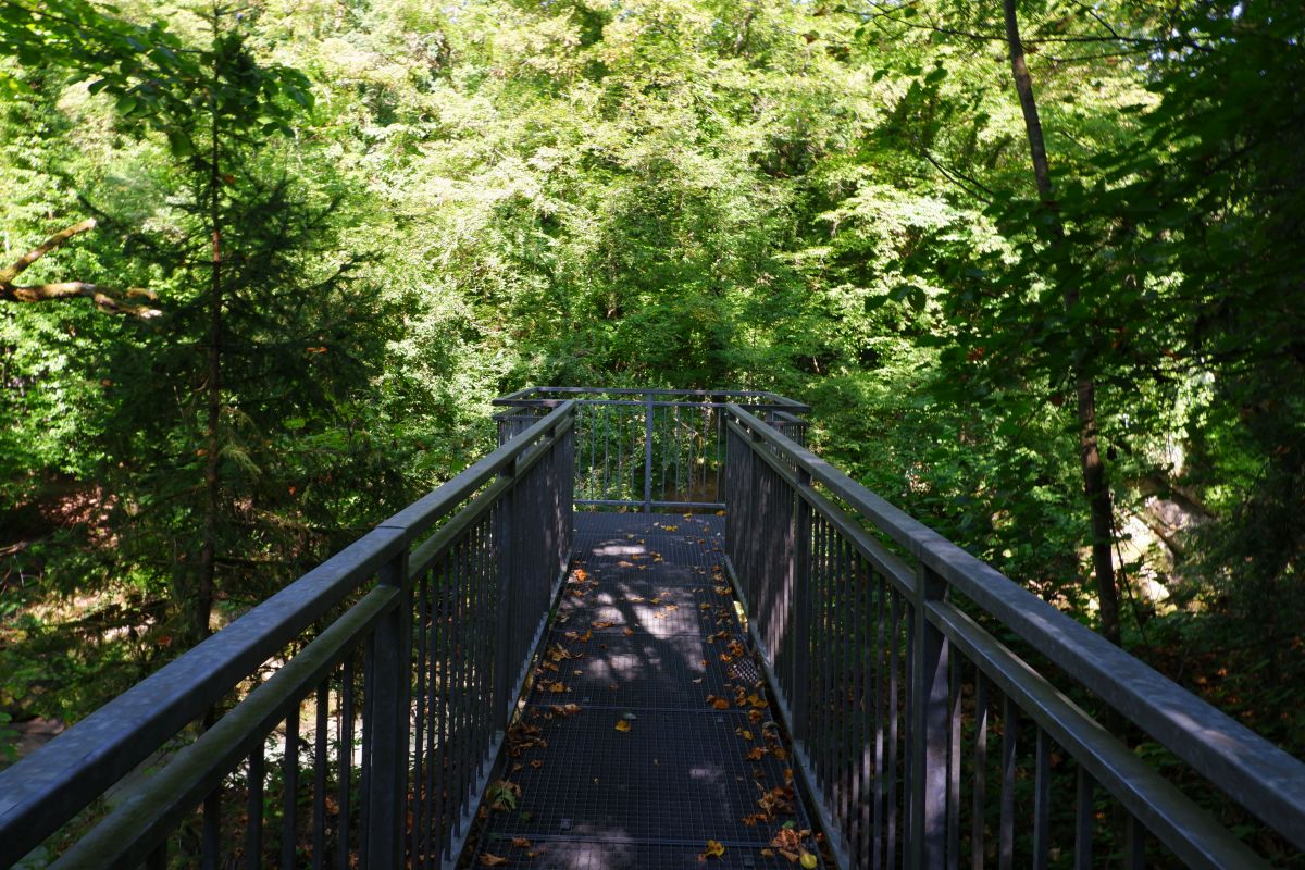 "Tut gut!"-Wanderweg Purgstall an der Erlauf - Route 1 / Laufrunde Praterstegrunde