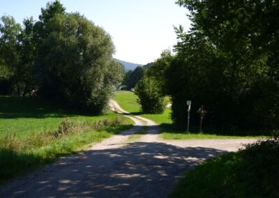 Von Gütenland um den Eixendorfer See (abgekürzte Route)
