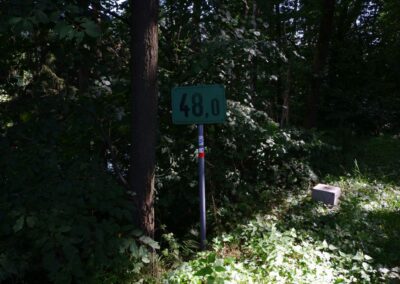 Von Gütenland um den Eixendorfer See (abgekürzte Route)