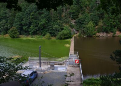 Von Gütenland um den Eixendorfer See (abgekürzte Route)