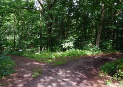 Von Gütenland um den Eixendorfer See (abgekürzte Route)