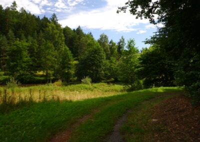 Von Gütenland um den Eixendorfer See (abgekürzte Route)
