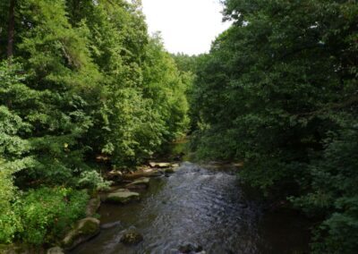 Von Gütenland um den Eixendorfer See (abgekürzte Route)