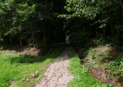 Von Gütenland um den Eixendorfer See (abgekürzte Route)