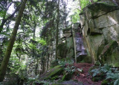 Von Gütenland um den Eixendorfer See (abgekürzte Route)