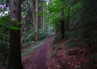 Von Gütenland um den Eixendorfer See (abgekürzte Route)