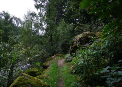 Von Gütenland um den Eixendorfer See (abgekürzte Route)