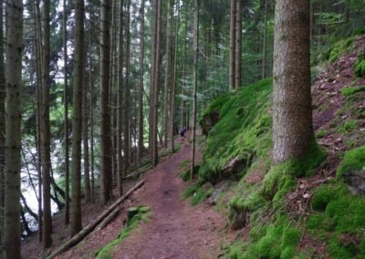 Von Gütenland um den Eixendorfer See (abgekürzte Route)