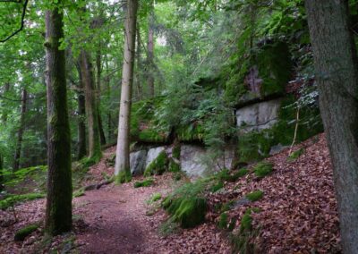 Von Gütenland um den Eixendorfer See (abgekürzte Route)