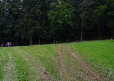 Von Gütenland um den Eixendorfer See (abgekürzte Route)