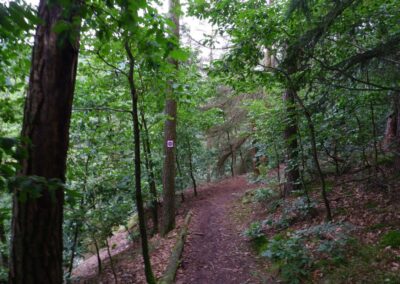 Von Gütenland um den Eixendorfer See (abgekürzte Route)
