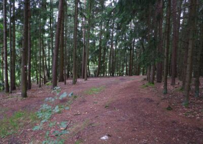 Von Gütenland um den Eixendorfer See (abgekürzte Route)
