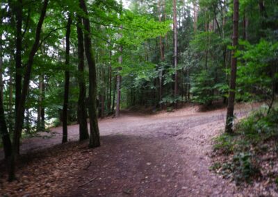 Von Gütenland um den Eixendorfer See (abgekürzte Route)