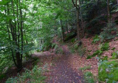 Von Gütenland um den Eixendorfer See (abgekürzte Route)