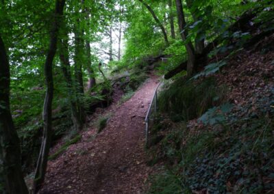 Von Gütenland um den Eixendorfer See (abgekürzte Route)