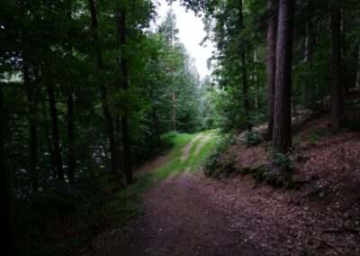 Von Gütenland um den Eixendorfer See (abgekürzte Route)
