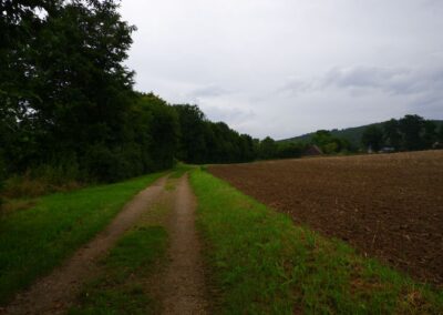 Von Gütenland um den Eixendorfer See (abgekürzte Route)
