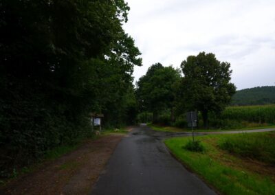 Von Gütenland um den Eixendorfer See (abgekürzte Route)