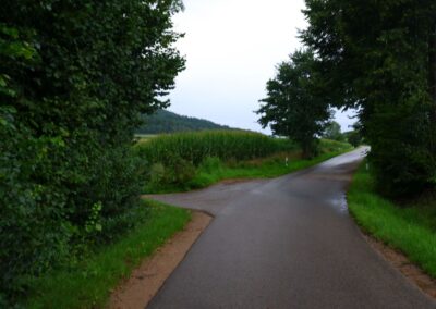 Von Gütenland um den Eixendorfer See (abgekürzte Route)