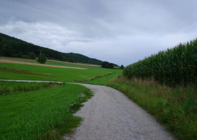 Von Gütenland um den Eixendorfer See (abgekürzte Route)