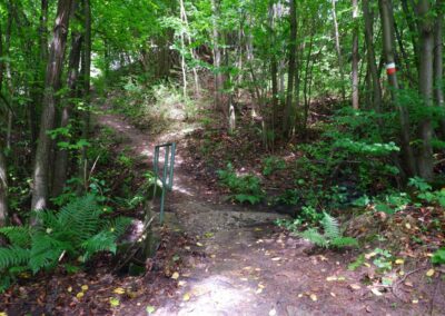 Von Gütenland um den Eixendorfer See (abgekürzte Route)