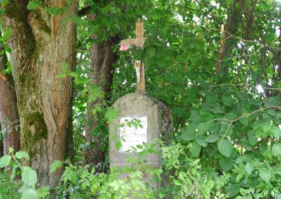 Von Gütenland um den Eixendorfer See (abgekürzte Route)