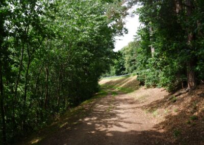 Von Gütenland um den Eixendorfer See (abgekürzte Route)
