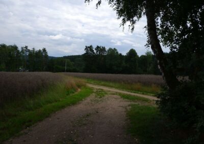 Von Gütenland um den Eixendorfer See (abgekürzte Route)