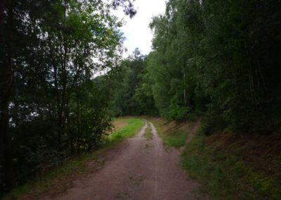 Von Gütenland um den Eixendorfer See (abgekürzte Route)