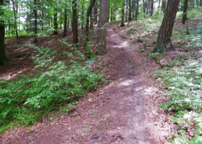 Von Gütenland um den Eixendorfer See (abgekürzte Route)