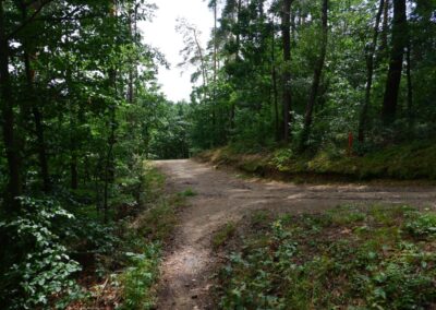 Von Gütenland um den Eixendorfer See (abgekürzte Route)