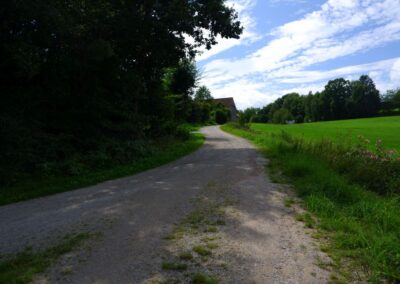 Von Gütenland um den Eixendorfer See (abgekürzte Route)