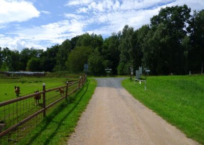 Von Gütenland um den Eixendorfer See (abgekürzte Route)