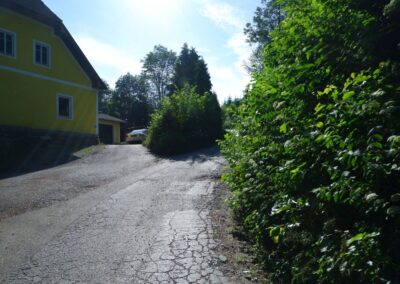 "Tut gut!"-Schritteweg Kottes-Purk
