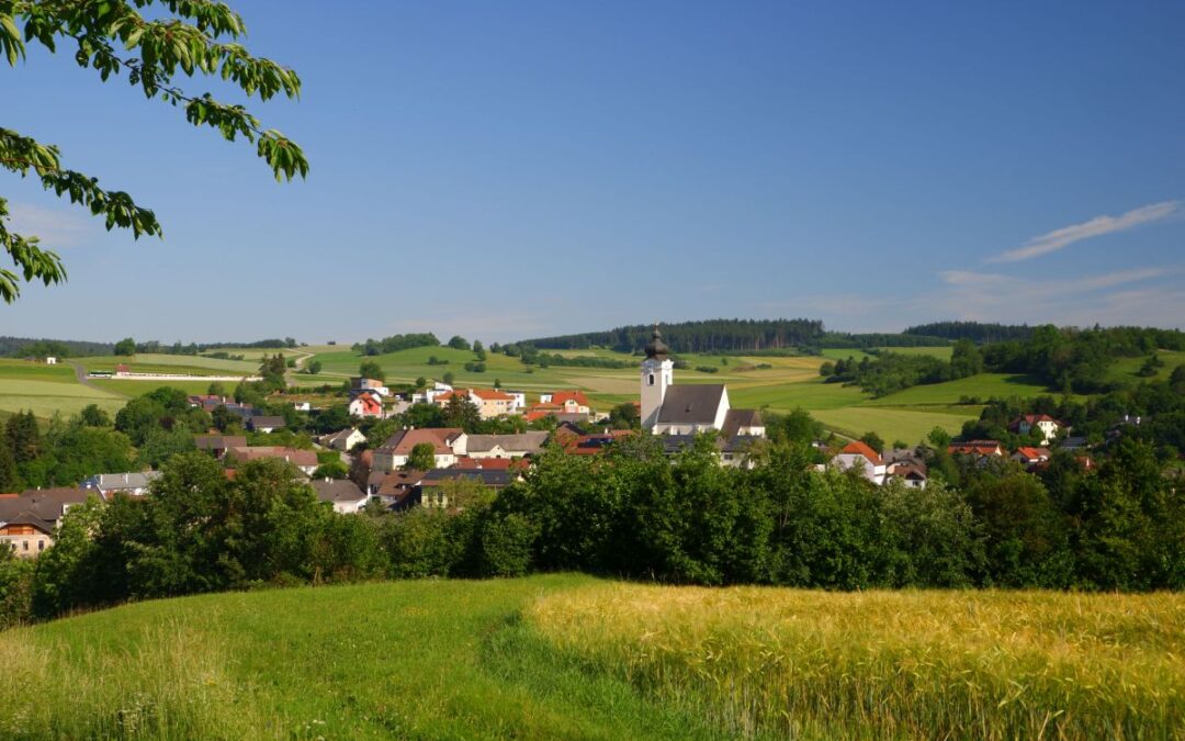 Der “Tut gut!”-Schritteweg in Kottes-Purk