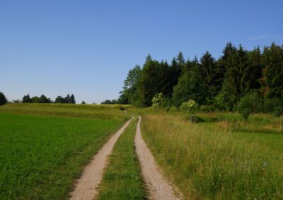 "Tut gut!"-Schritteweg Kottes-Purk
