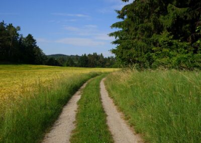 "Tut gut!"-Schritteweg Kottes-Purk