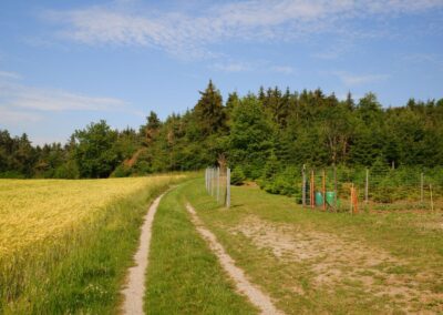 "Tut gut!"-Schritteweg Kottes-Purk
