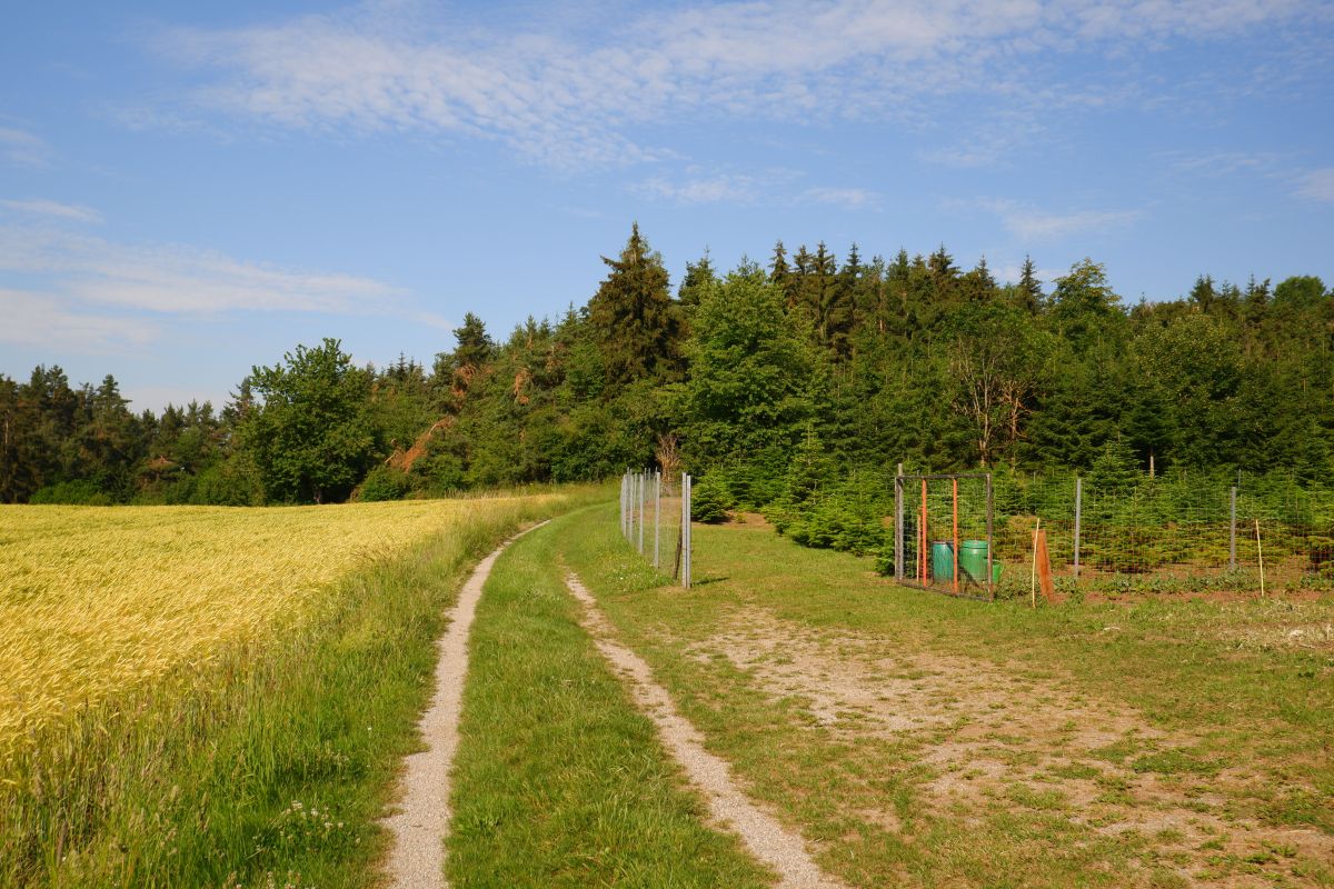 "Tut gut!"-Schritteweg Kottes-Purk