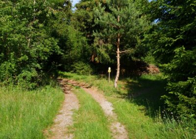 "Tut gut!"-Schritteweg Kottes-Purk