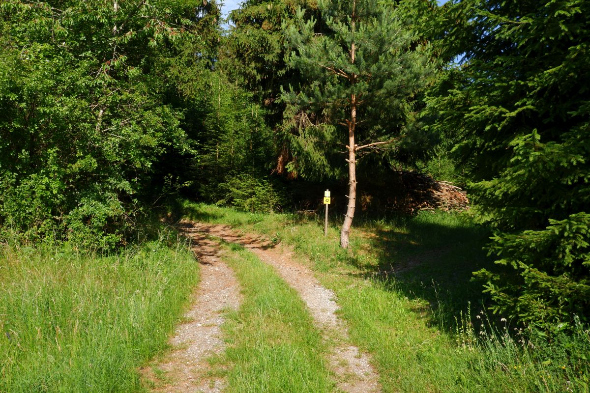 "Tut gut!"-Schritteweg Kottes-Purk